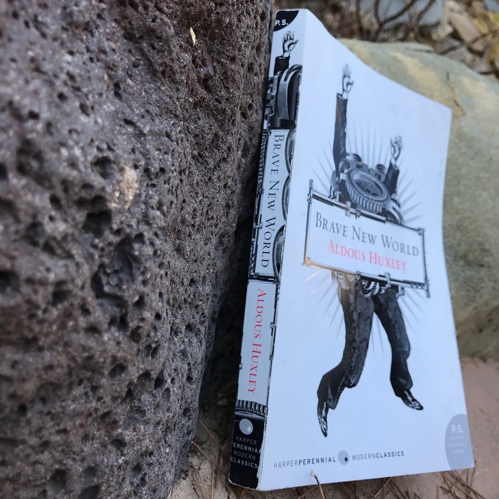 BRAVE NEW WORLD book 🌎💪🏾 - Picture 2 of 3